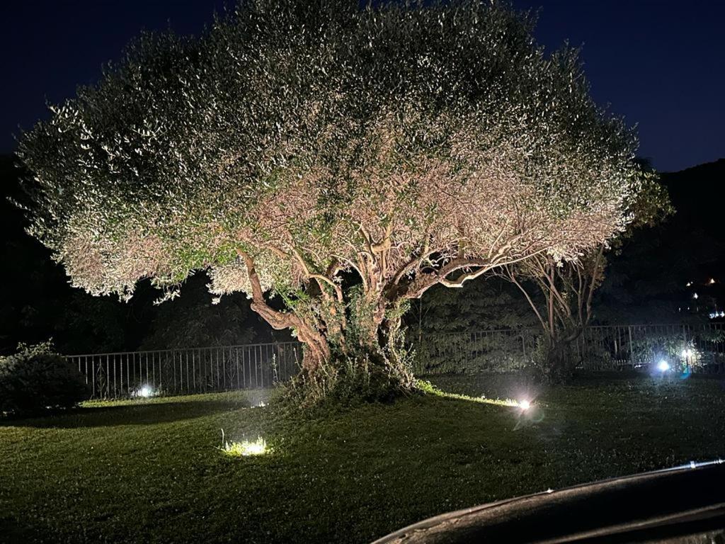 Country House メルコリアーノ エクステリア 写真